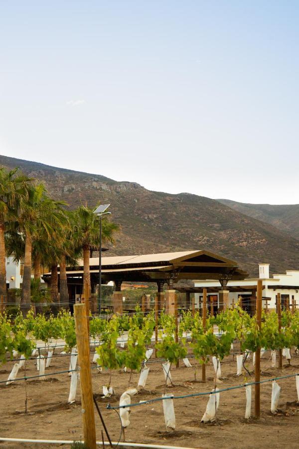 Limbo Hotel Boutique Valle de Guadalupe Esterno foto